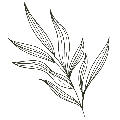 Décoration feuille